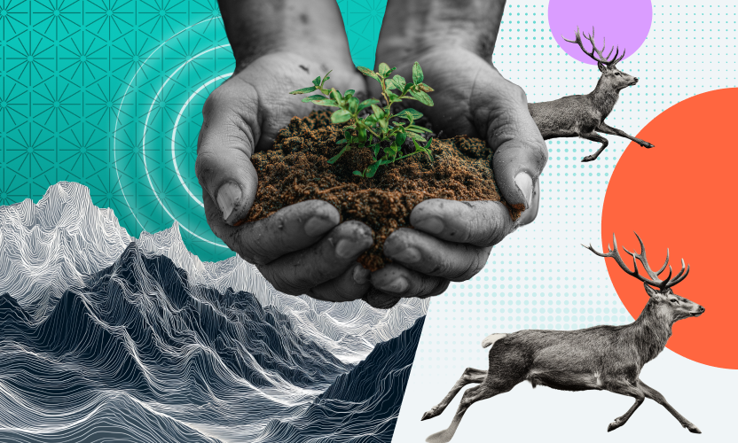 Egnyte CSR | Volunteering in India