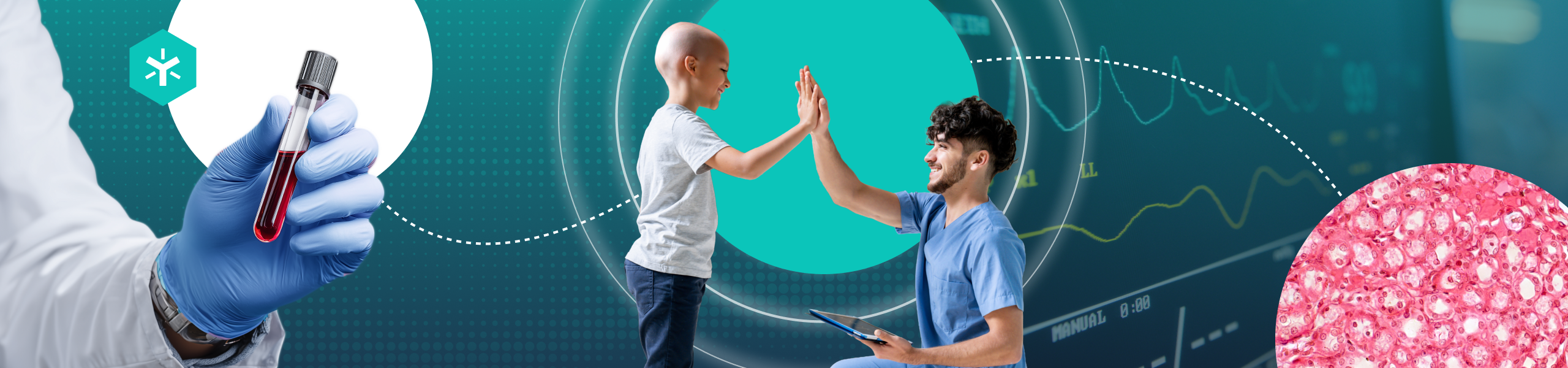Egnyte | CSR Access Life Cancer Foundation