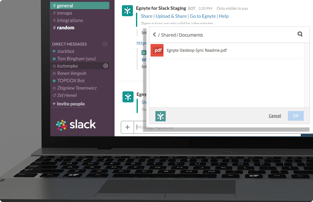 product screenshot showing Egnyte for Slack staging