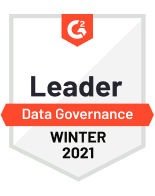 G2 Leader Data Governance - Winter 2021
