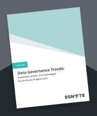 2020 Data Governance Report