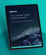 Ultimate Guide to Ransomware