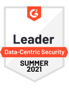 Data-Centric Security Leader