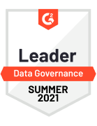 Data Governance Leader