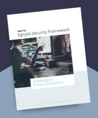 Egnyte Security Framework