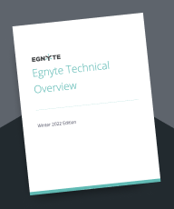 A visual representation of the Egnyte Technical Overview cover sheet