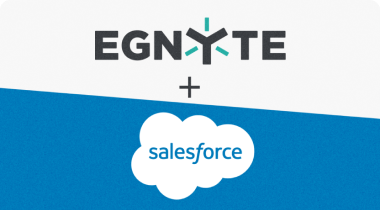 Egnyte + Salesforce