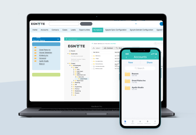 Share Customer files Anywhere through the Egnyte Integration