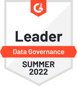 Data Governance Summer