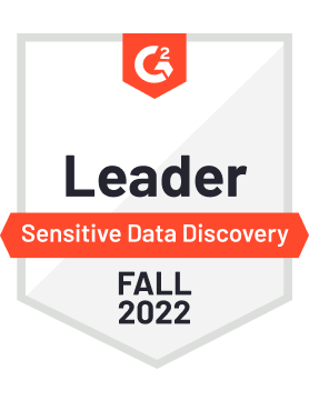Sensitive Data Discovery Leader Fall 2022