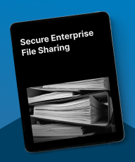 enterprise file sharing
