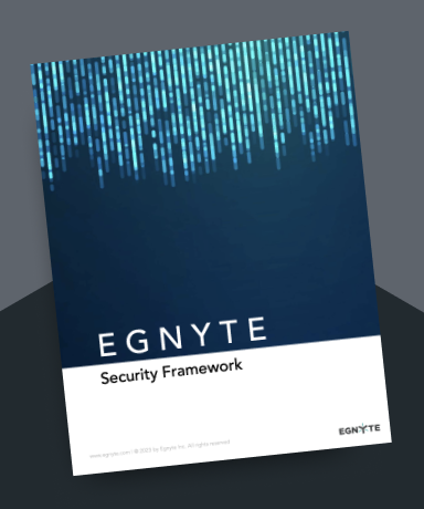 Egnyte Security Framework