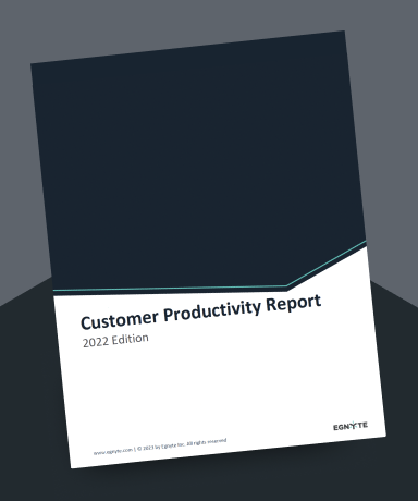 2022 Customer Productivity Survey Report 