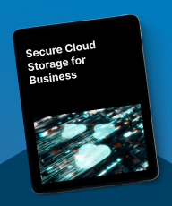 cloud file server for business