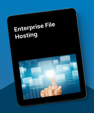 file cloud hosting