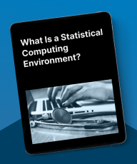 statistical computing environment