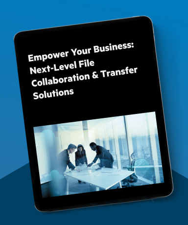 Empower Your Business_ Next-Level File Collaboration &amp; Transfer Solutions
