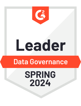 G2 Data Governance Leader Spring 2024