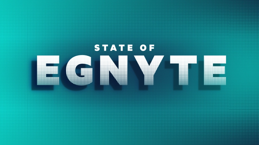State of Egnyte - Summer 2023
