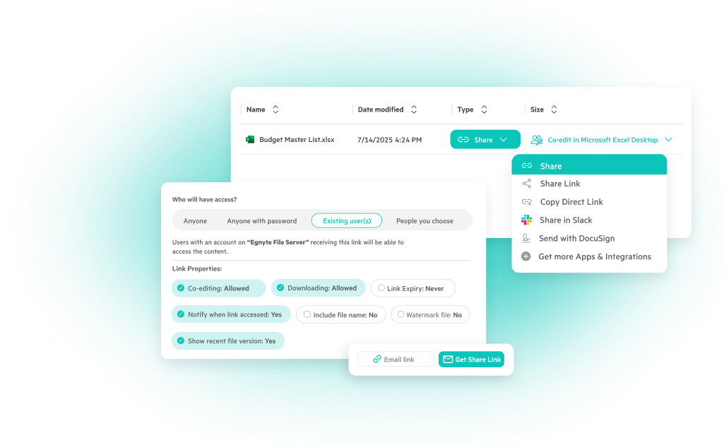 Egnyte interface for secure file sharing