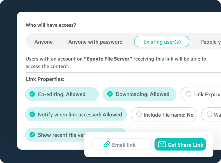 Egnyte share link settings