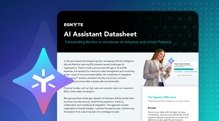 AI Assistant Data Sheet