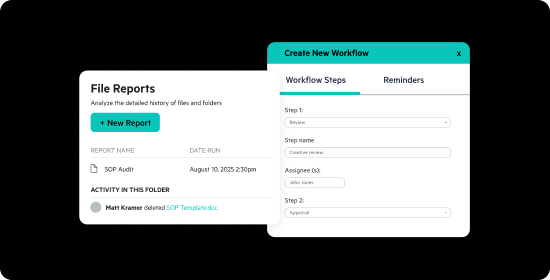 Egnyte create workflow file report panel
