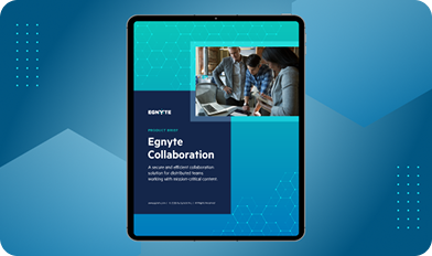 Strengthen Productivity with Egnyte Collaboration