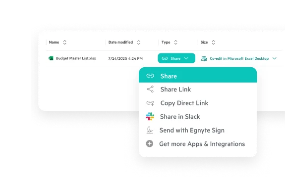 Egnyte Excel file share options menu