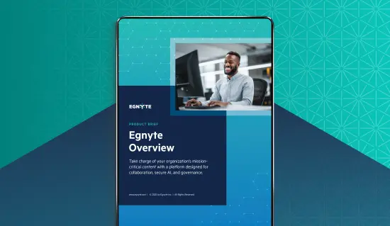 An overview of Egnyte and our capabilities
