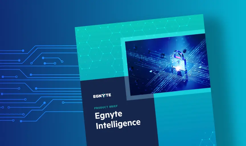 egnyte-intelligence-product brief