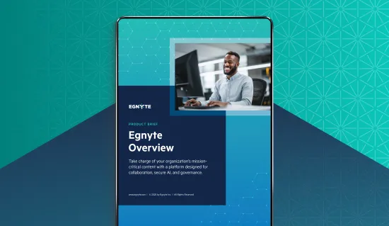  An Overview of Egnyte’s AI-Ready Content Cloud