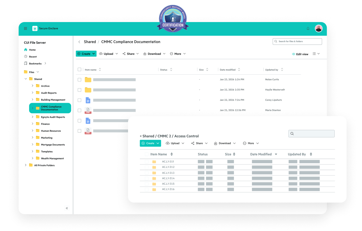 Egnyte CMMC compliance CUI file server