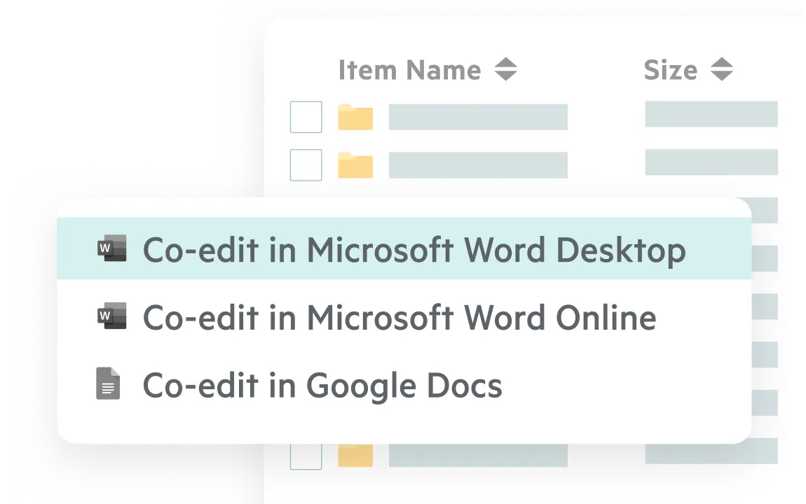  Egnyte co-editing in Word and Google Docs