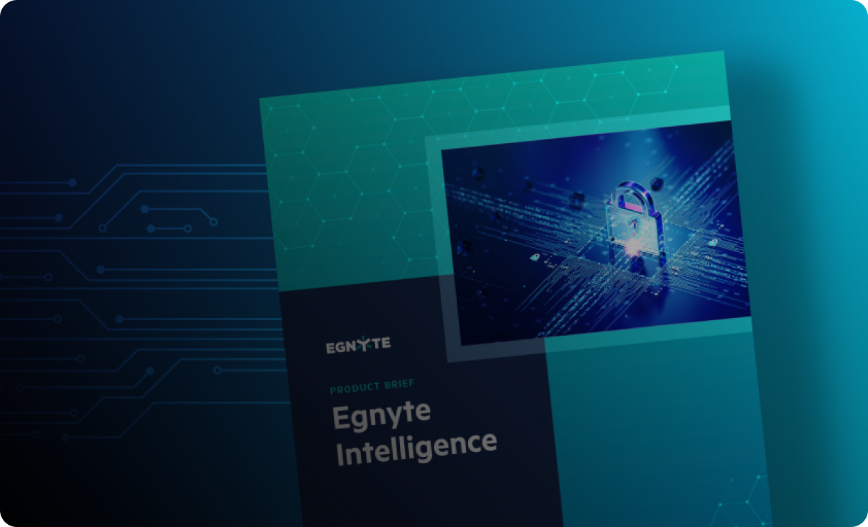 Egnyte Intelligence Product Brief