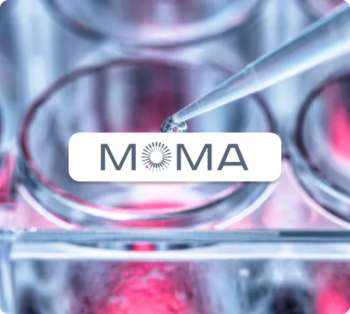 Egnyte MOMA customer success story