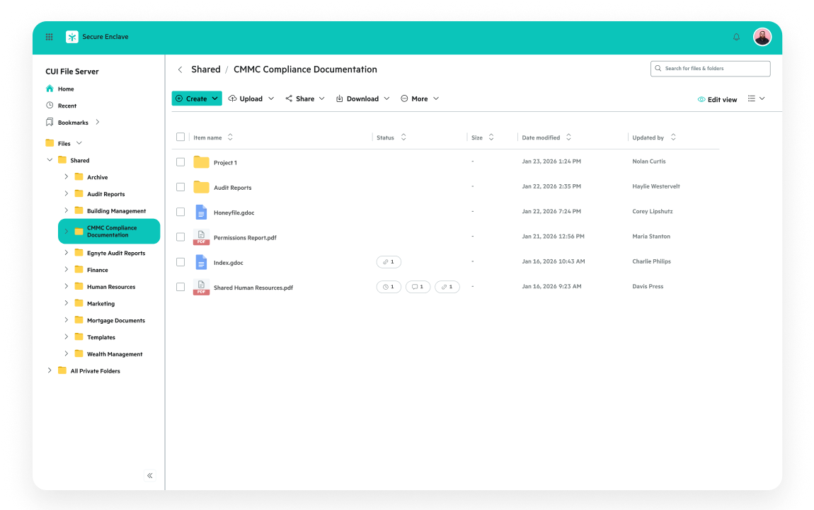 Egnyte CMMC compliance shared file list