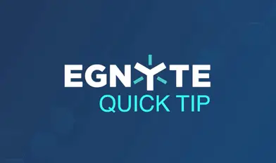 Egnyte AI Assistant