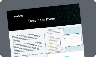 Egnyte Document Room Datasheet
