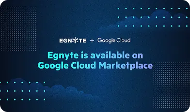 Egnyte for Google Workspace: Secure and Seamless