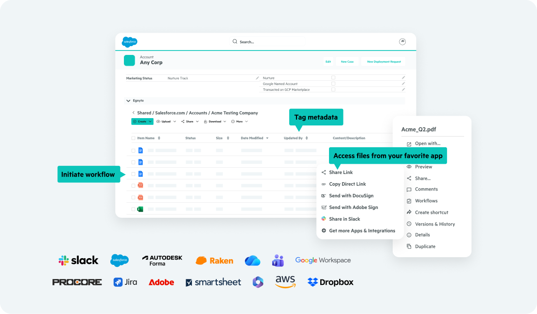 Egnyte file workflow and metadata panel