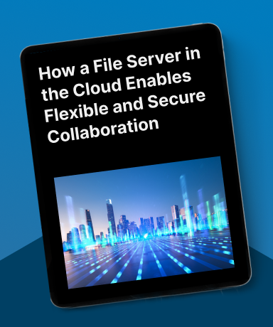 How a File Server in the Cloud Enables Flexible and Secure Collaboration