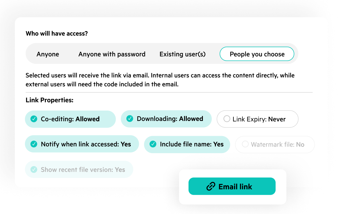 Egnyte granular link access controls