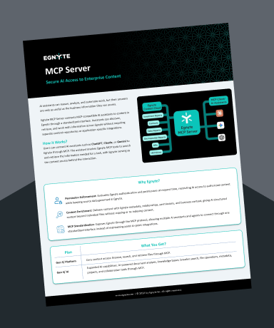 MCP_Server_Datasheet