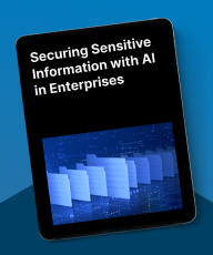 Securing Sensitive Information with AI in Enterprises