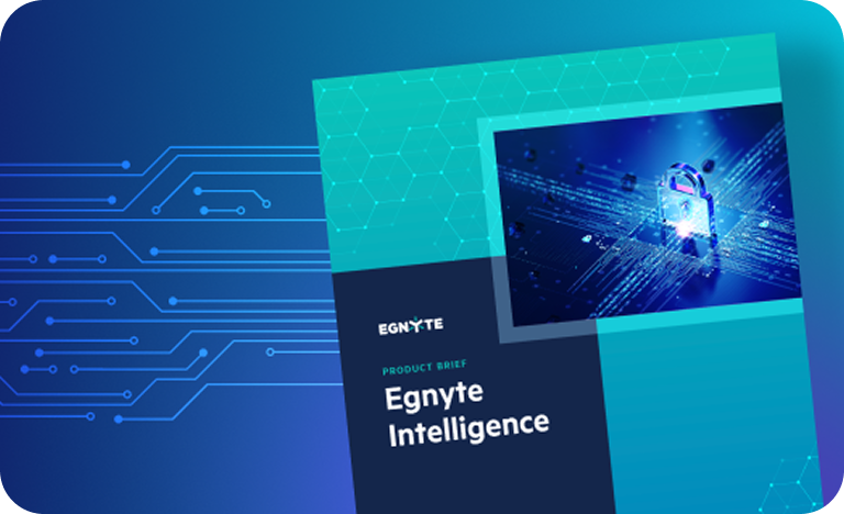 Egnyte Intelligence Product Brief