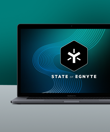 State of Egnyte: Fall 2026