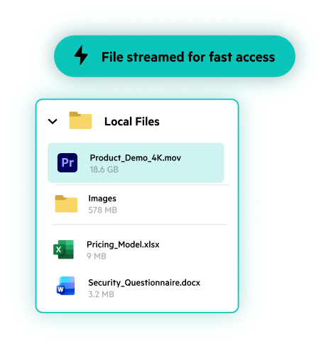 Local Files panel with a file streamed for fast access