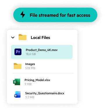 Local Files panel with a file streamed for fast access