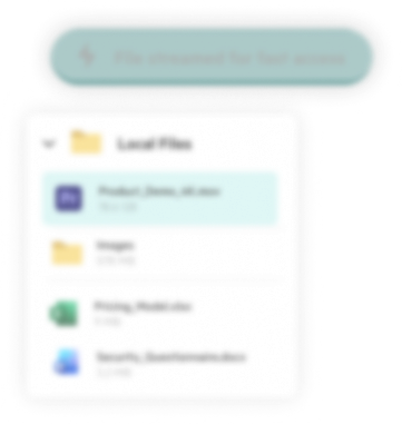 Local Files panel with a file streamed for fast access